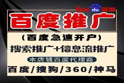 搜索引擎营销（SEM）成功案例详解